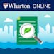 ESG Risks and Opportunities