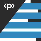 Formatting, Printing and Reporting with Primavera P6 PPM